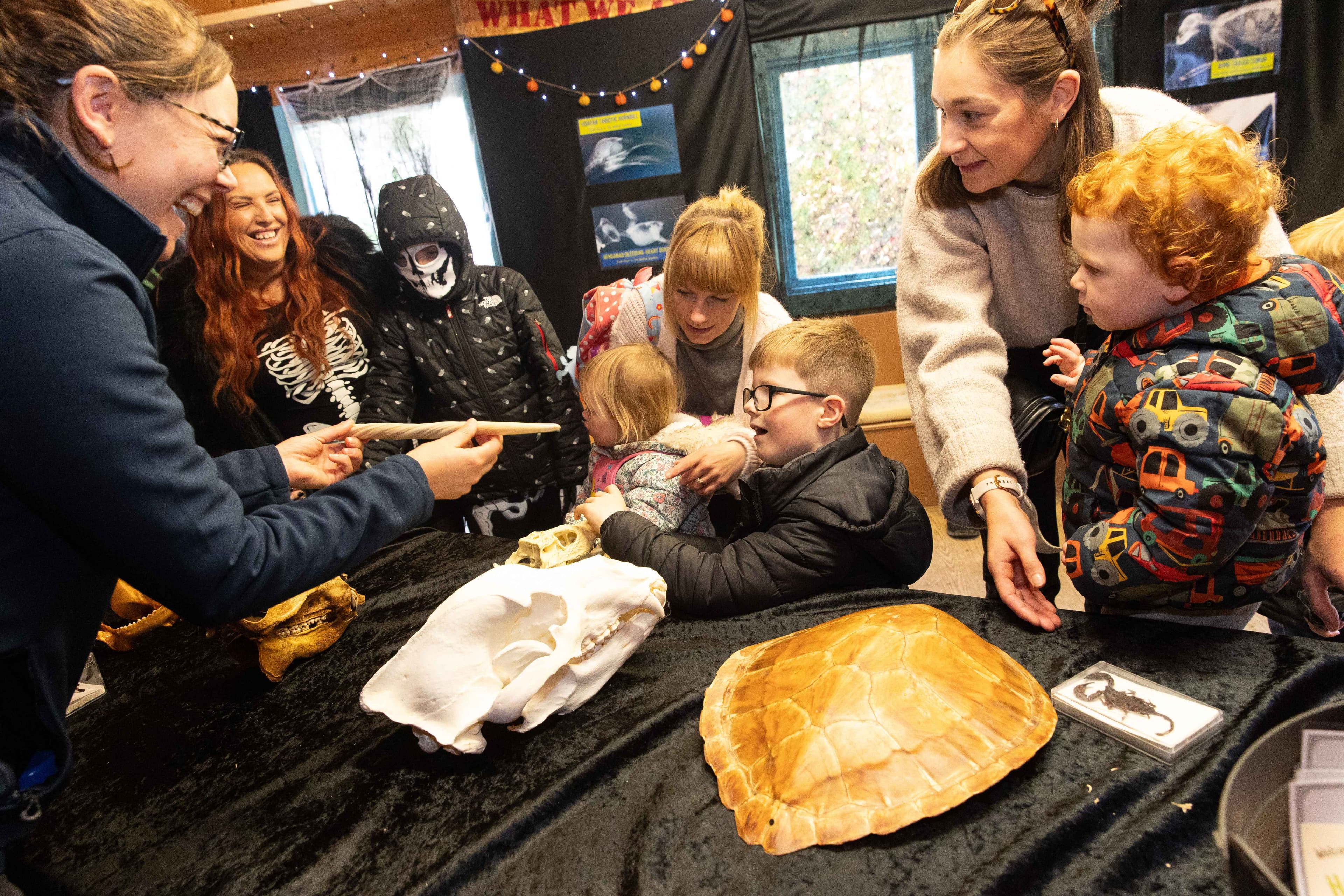 Families looking at animal artefacts