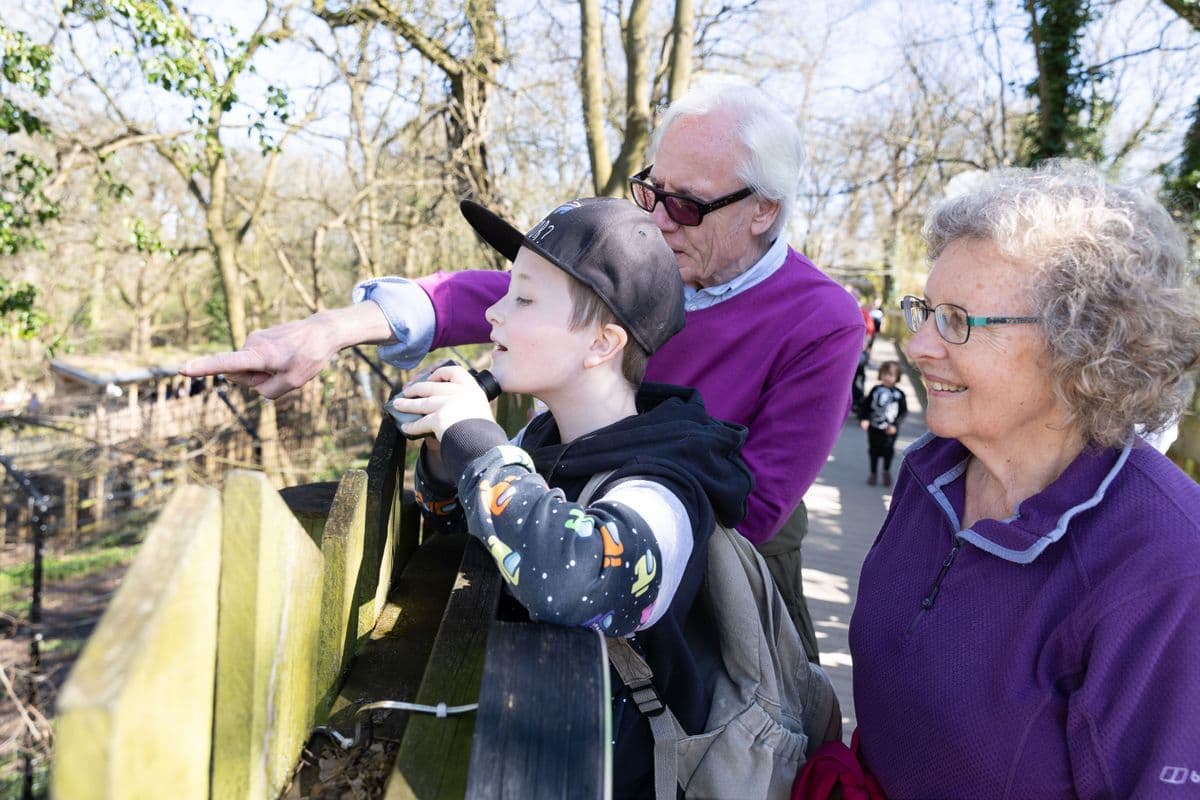 A child and his grandparents look into an enclosure, pointing at something off frame.